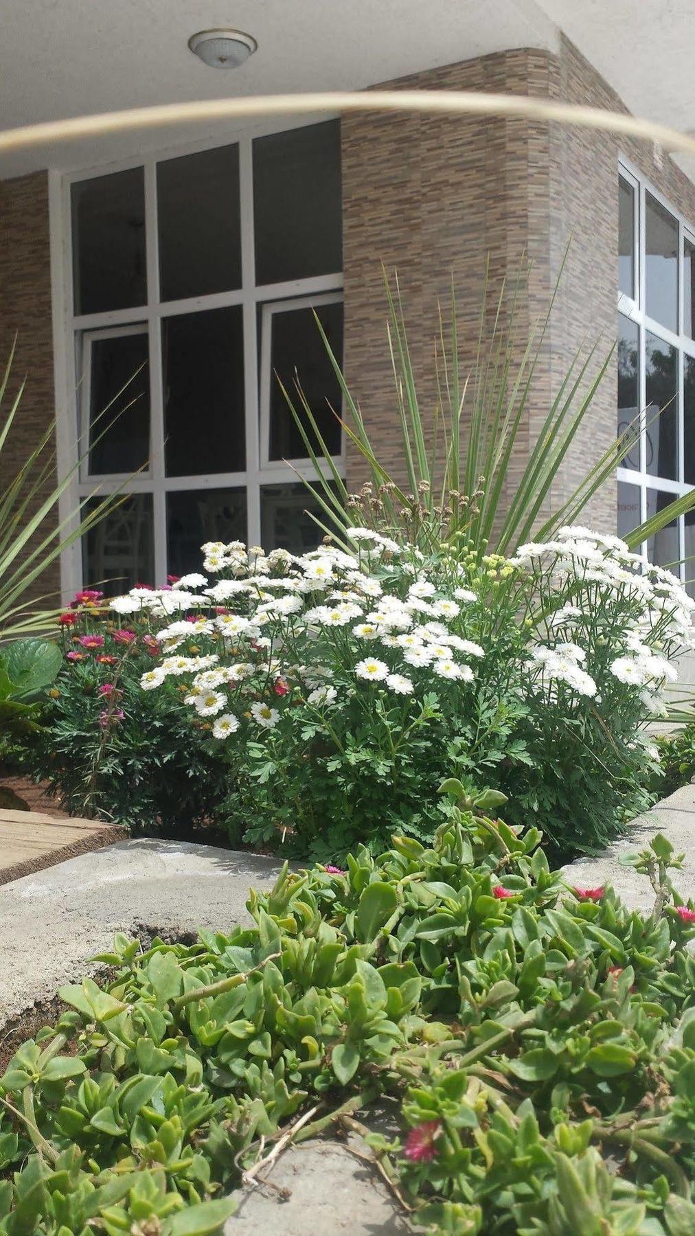 White House Addis Hotel Bagian luar foto